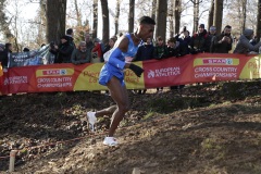 Campionati Europeo di corsa Campestre, La Mandria Cross, European Cross Country