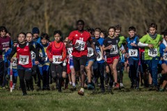 Campionati toscani cross corto-Gran Prix e CdS promozionale prima prova - Campi Bisenzio 2025 -  foto ©Andrea Bruschettini