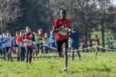 Campionati toscani cross corto-Gran Prix e CdS promozionale prima prova - Campi Bisenzio 2025 -  foto ©Andrea Bruschettini