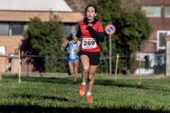 CdS Cross 2024, I^ fase regionale, Castelfiorentino 21.1.2024